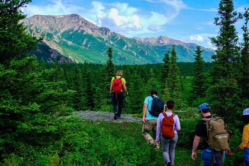 A group of hikers on a trail with mountainous terrain and dense forest in the background. 3