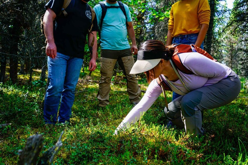 A group of people in a forested area, some standing and one crouching, examining the ground. 1