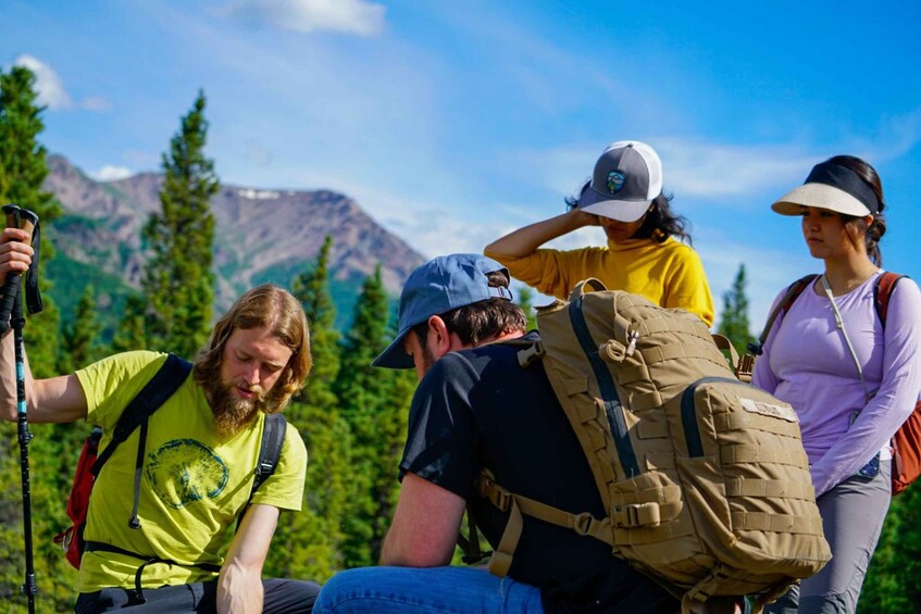 A group of hikers with backpacks in a mountainous landscape. 2