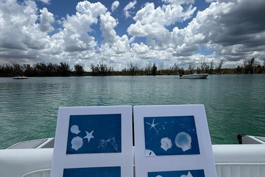 Dolphin Watching, Shelling and Sun Print Island Adventure 5