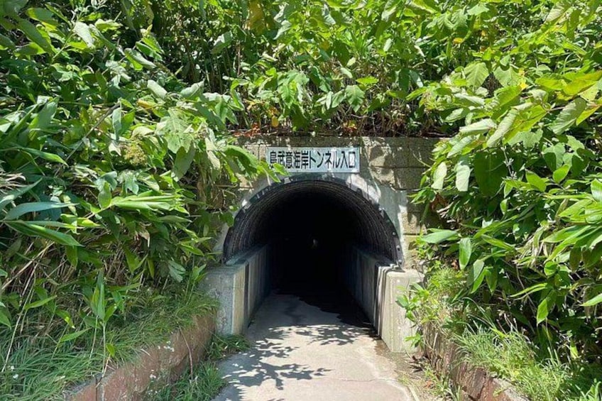 A tunnel entrance with a sign, surrounded by greenery. 4