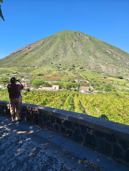 Picture 12 for Activity Wine Trekking on Salina: Hike and Tasting of Local Products 3