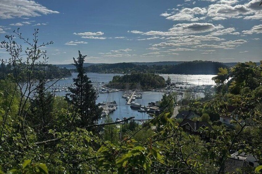 A harbor with boats, a forested area, and a distant shoreline. 3