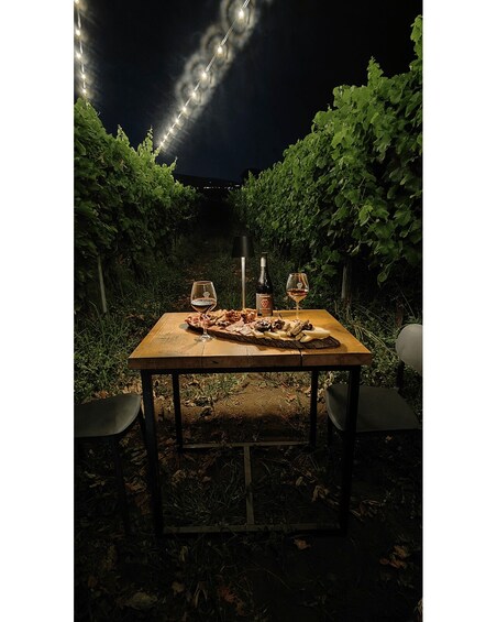 An outdoor dining table with wine glasses, a bottle, and food in a garden at night. 3