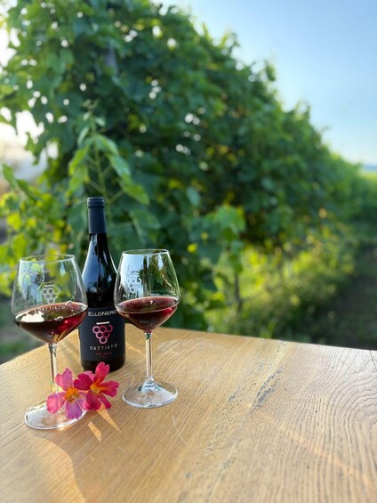A bottle of wine and two glasses on a wooden table with a blurred green background. 1