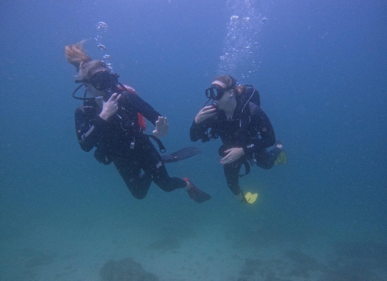 Two scuba divers underwater. 3