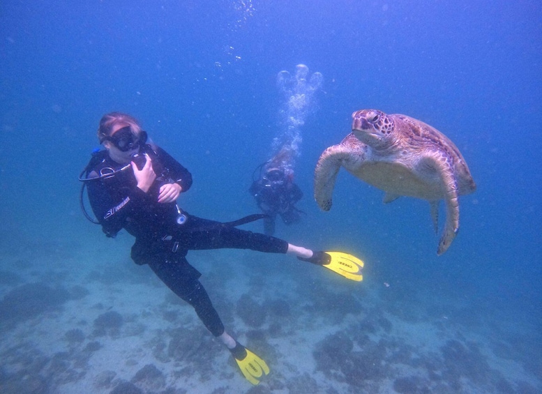 A diver with yellow flippers swimming near a sea turtle. 1