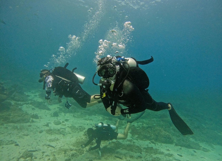 Two scuba divers underwater with bubbles rising to the surface. 4