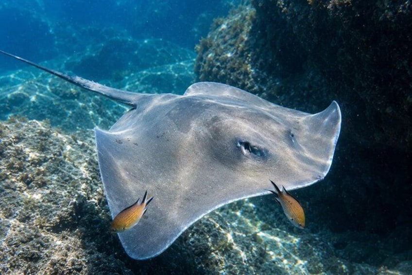 First-Time Scuba Diving Adventure 2