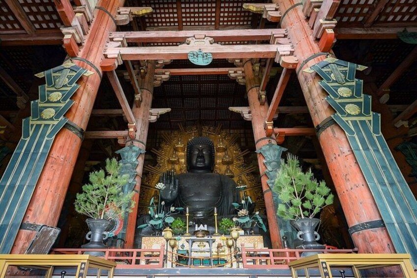 Nara & Uji Day Trip: Cute Deer, Matcha Experience, and Hot Spring 3