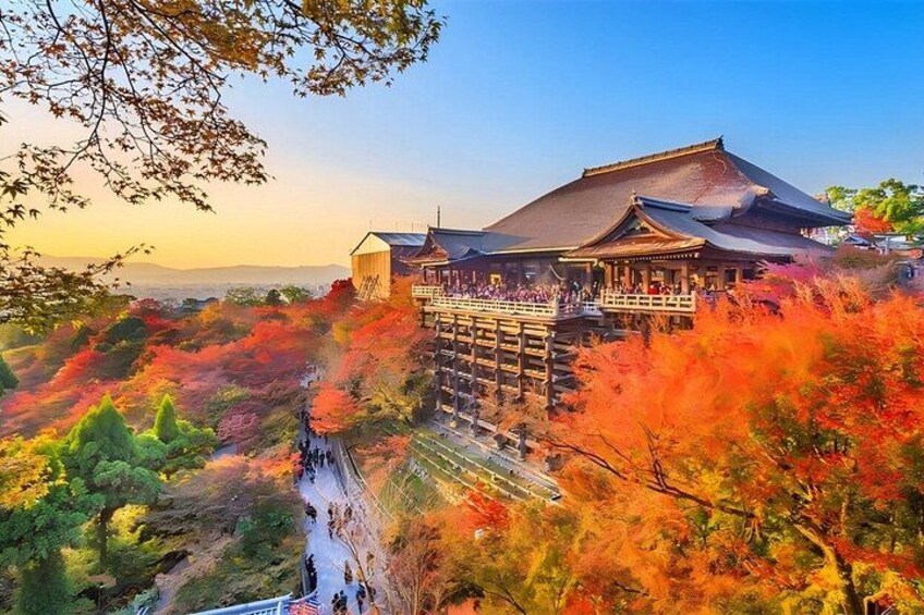 Nara & Uji Day Trip: Cute Deer, Matcha Experience, and Hot Spring 4