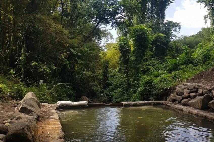 Ein naturbelassener Teich, umgeben von üppigem Grün und Felsen. 4