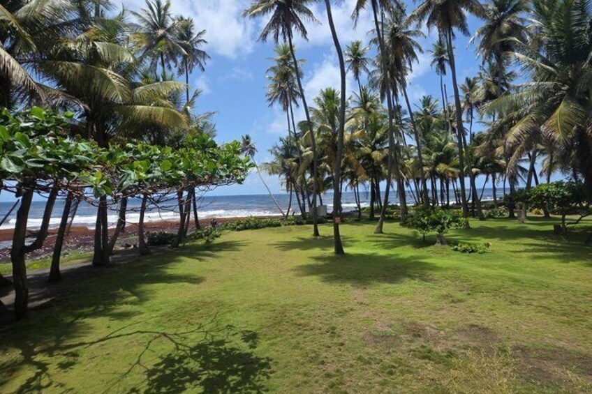 Kingstown St Vincent and the Grenadines Tour 5