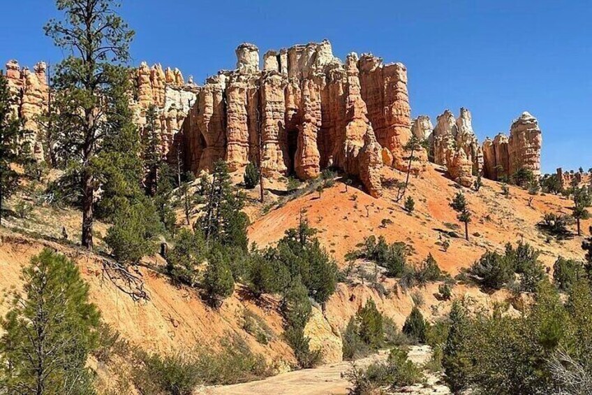 A rocky mountain with tall, narrow rock formations and sparse trees. 2