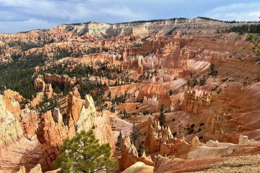 Un paisaje de cañón escarpado con formaciones rocosas de color rojo y blanco característico. 5