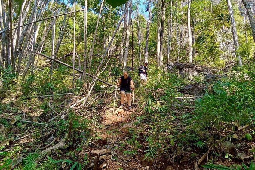 Pai Jungle Trek to Ban Rai Village and Spirit Sinkhole with Lunch 5