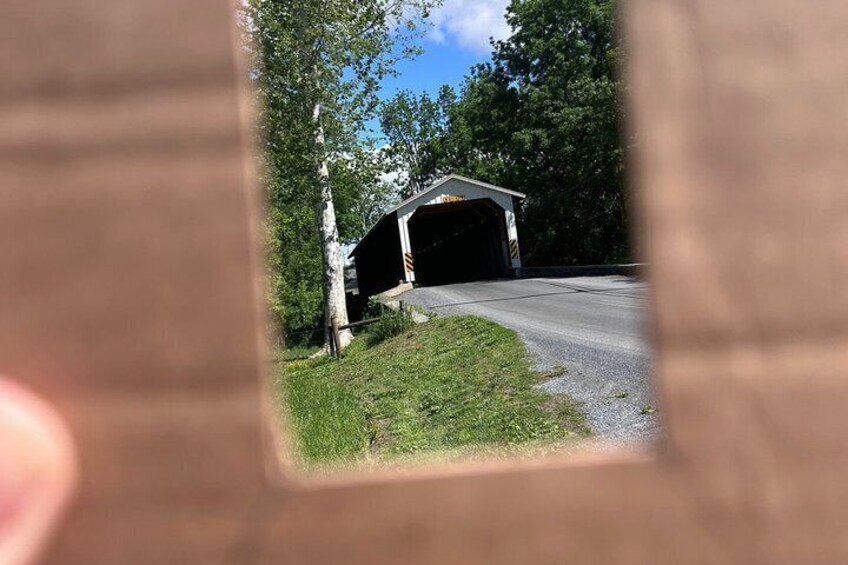 A garage with a driveway leading to it, surrounded by trees and grass. 2