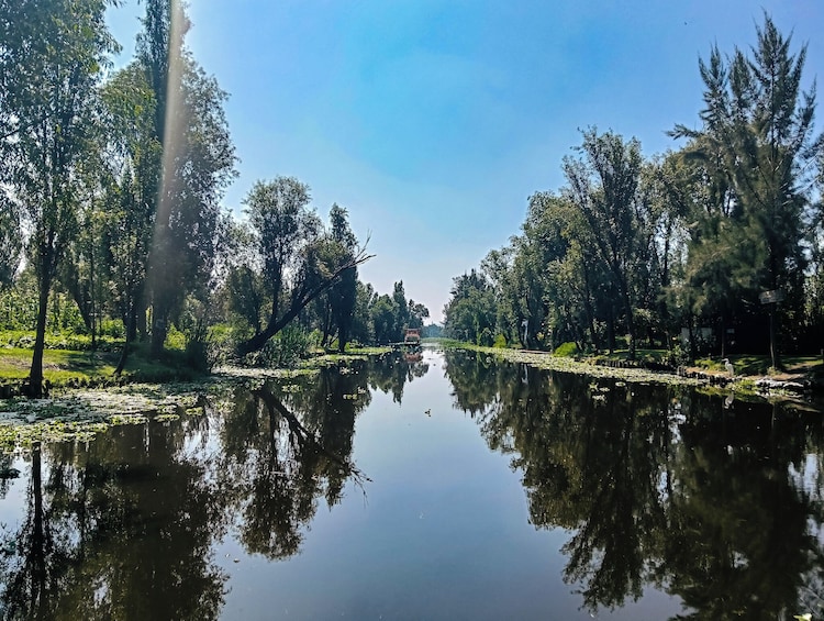 Xochimilco, Original Doll Island, Axolotl Sanctuary & Coyoacan 1