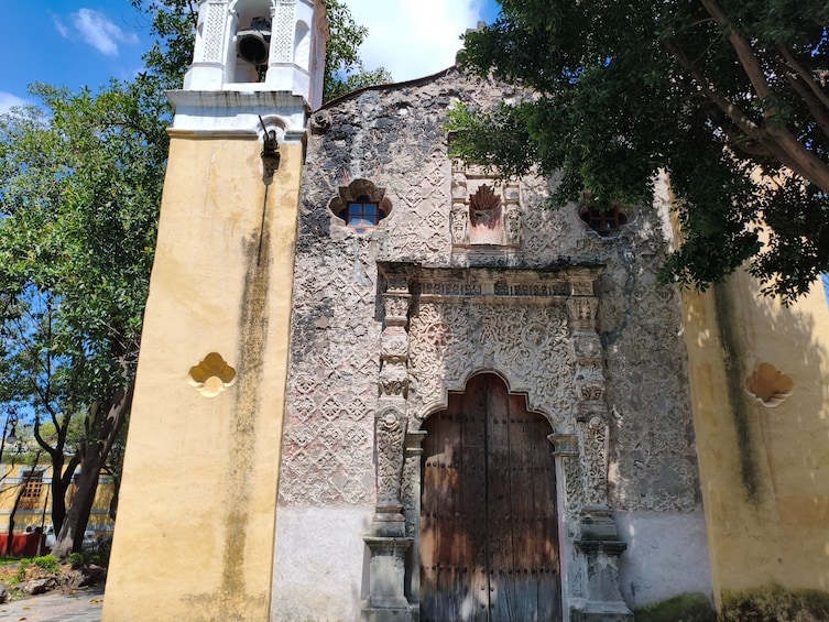 Xochimilco, Original Doll Island, Axolotl Sanctuary & Coyoacan 5