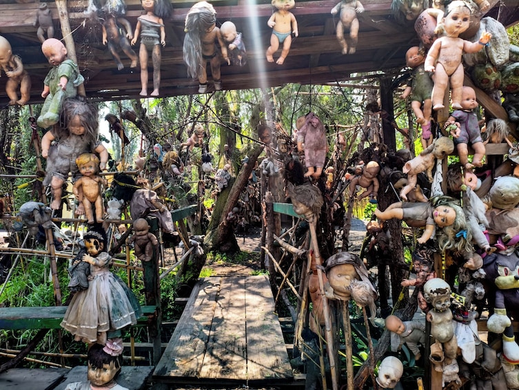 Xochimilco, Original Doll Island, Axolotl Sanctuary & Coyoacan 3