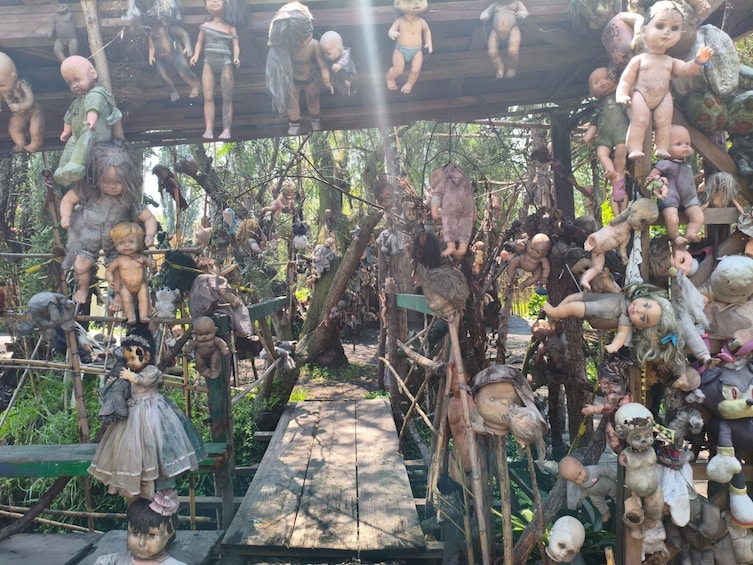 Xochimilco, Original Doll Island, Axolotl Sanctuary & Coyoacan 1