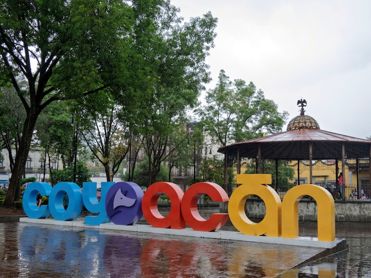 Xochimilco, Original Doll Island, Axolotl Sanctuary & Coyoacan 5