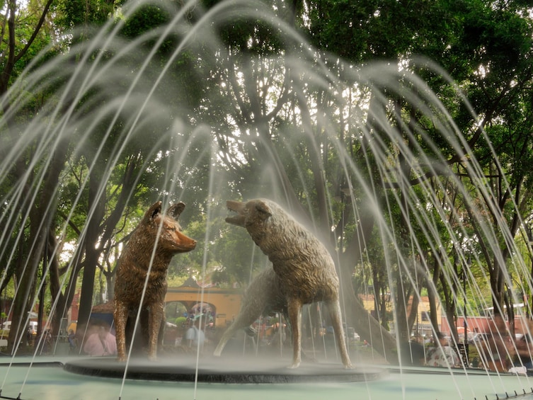 Xochimilco, Original Doll Island, Axolotl Sanctuary & Coyoacan 2