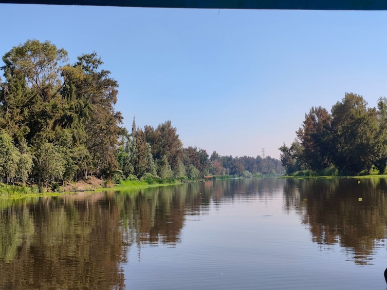 Xochimilco, Original Doll Island, Axolotl Sanctuary & Coyoacan 1