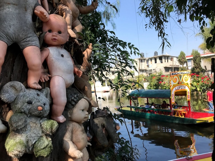 Xochimilco, Original Doll Island, Axolotl Sanctuary & Coyoacan 1