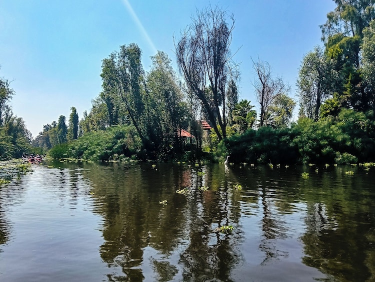 Xochimilco, Original Doll Island, Axolotl Sanctuary & Coyoacan 5