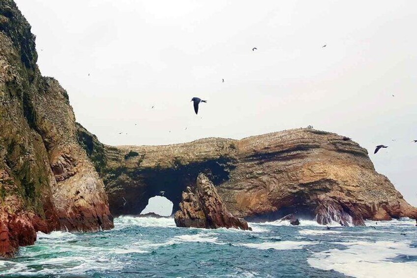 A coastal landscape with rocky cliffs and a natural arch formation. 3