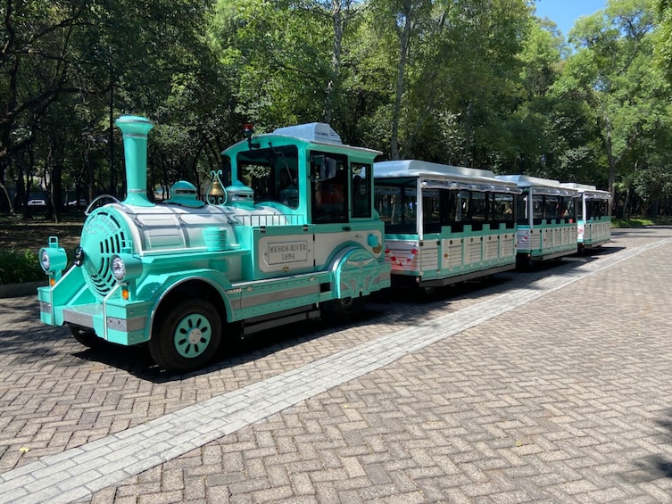 Chapultepec Castle, Anthropology Museum & Forest Train 2