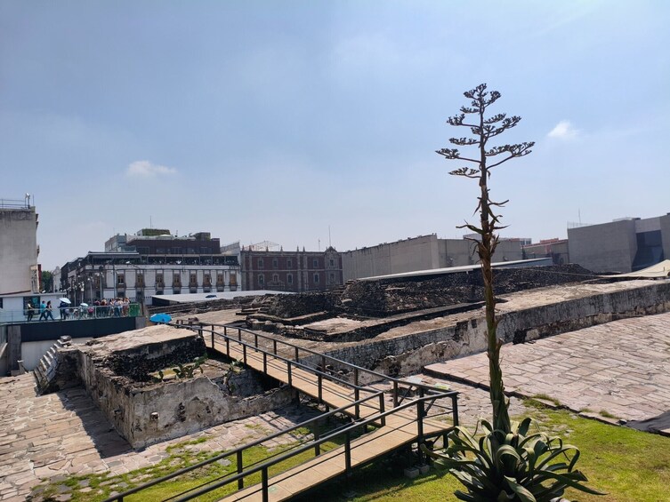 Mexico City Historic Center, Cathedral & Muralism Museum 5