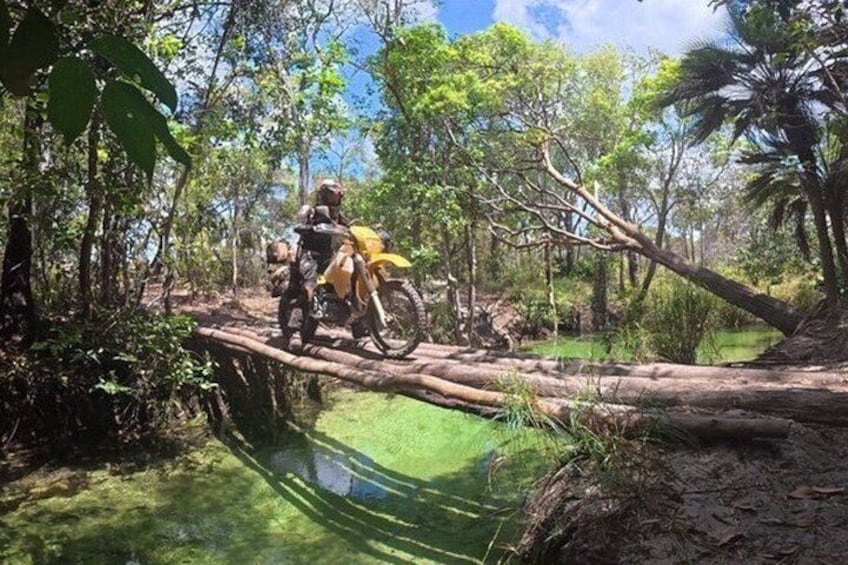 A person riding a motorcycle on a log bridge over a green body of water in a forested area. 2