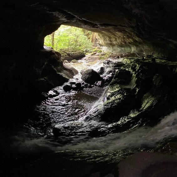 A cave entrance with a stream flowing through it. 1