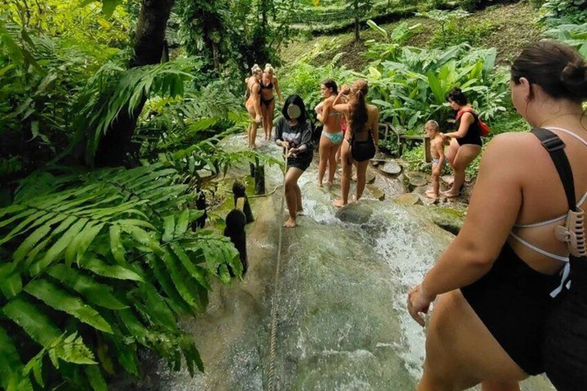 A group of people standing on a rocky surface in a lush, green forested area. 5