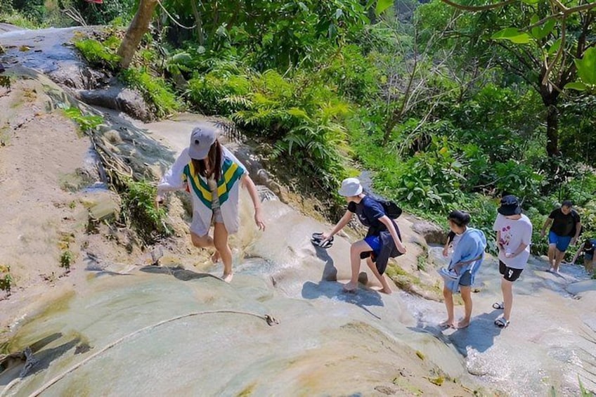 People hiking on a rocky trail surrounded by greenery. 4