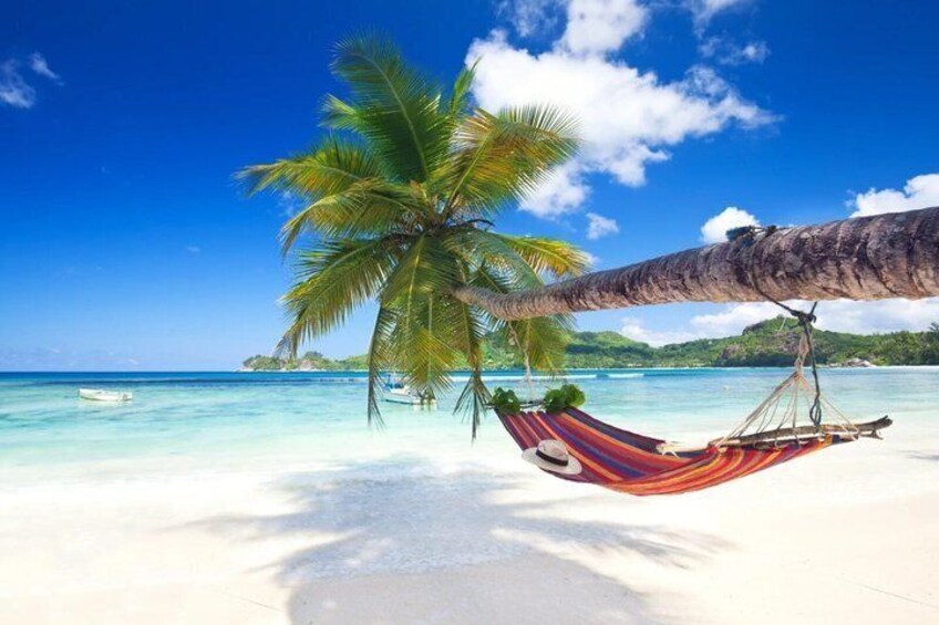 A hammock tied to a palm tree on a beach with clear turquoise water and a distant island. 1