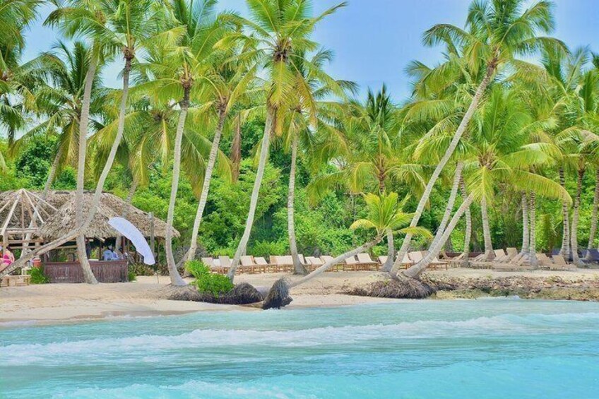 Saona Island Full Day Tour from Punta Cana with Lunch and Drinks 2