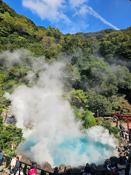 A geothermal hot spring surrounded by lush greenery and a clear blue sky. 1
