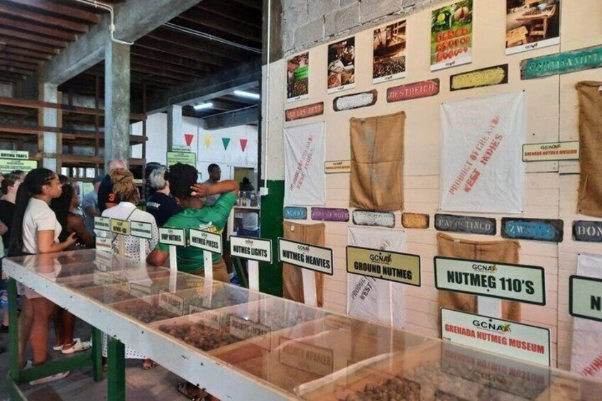 A museum display with labeled exhibits and visitors. 2