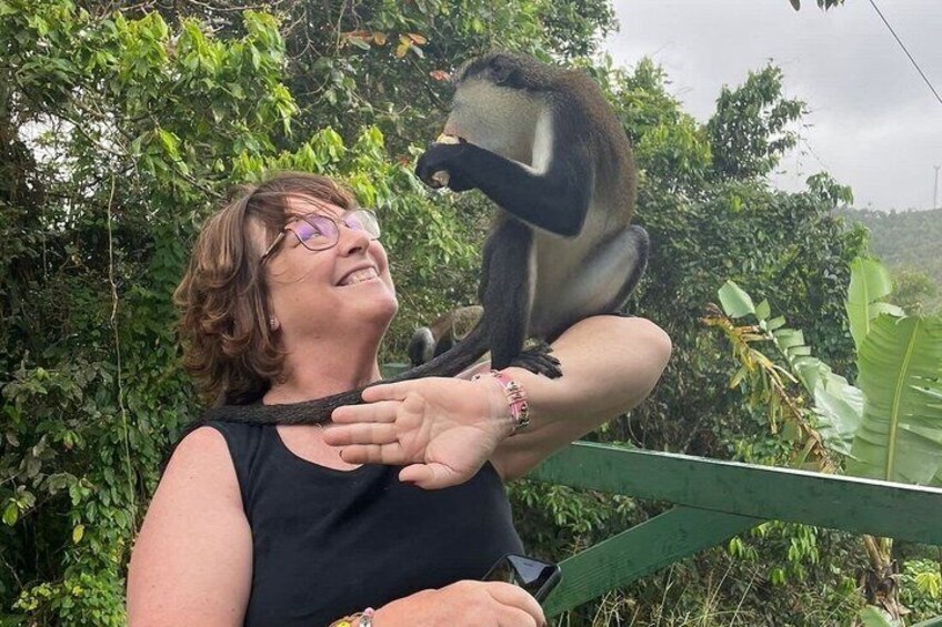 A person holding a monkey. 1