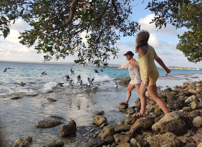 Two people walking on a rocky beach with birds flying around. 1