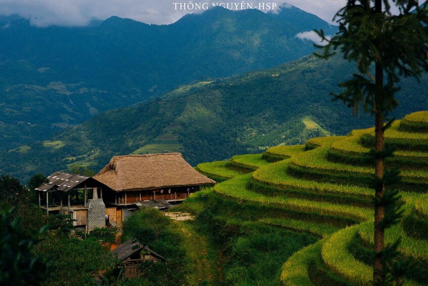 A rural village with terraced rice fields and a traditional thatched-roof house. 3