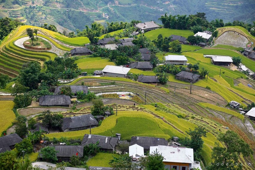 Terraced rice fields, traditional houses, and a hilly landscape. 1