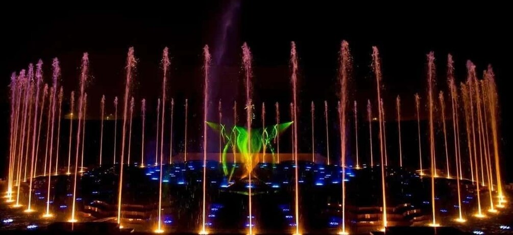 Picture 13 for Activity Akshardham Evening Cultural Walk & Water Show Experience 3