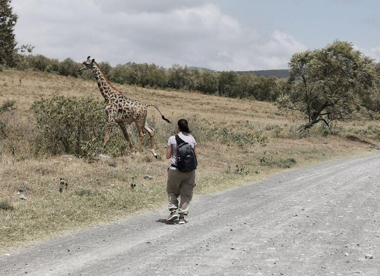 A person walking on a dirt road with a giraffe in the background. 4