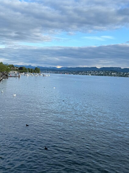 A calm lake with sailboats, swans, and a distant mountain range. 3