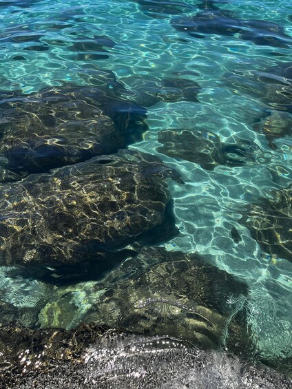 Clear water with visible rocks and sunlight reflections. 2