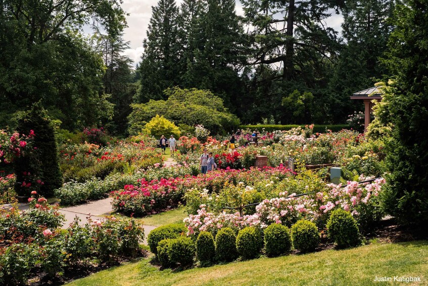 A garden with various flowers and trees, a pathway, and a gazebo. 3